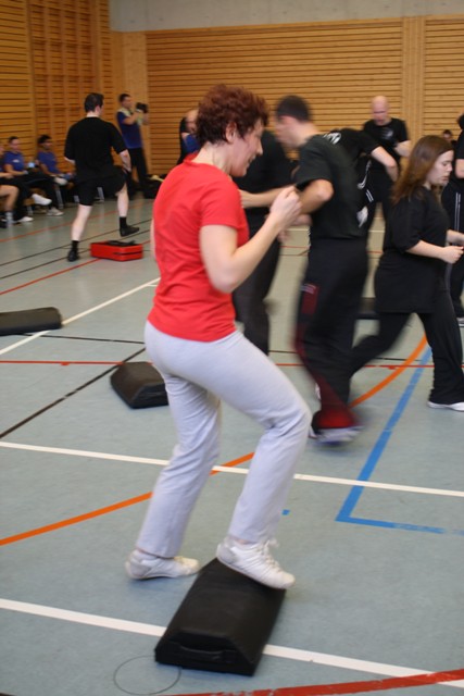 Krav Maga - Stage Darren Levine - Luxembourg 2009