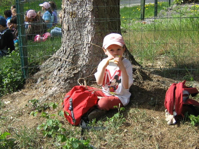 Saint-Michel - Hastières 2007