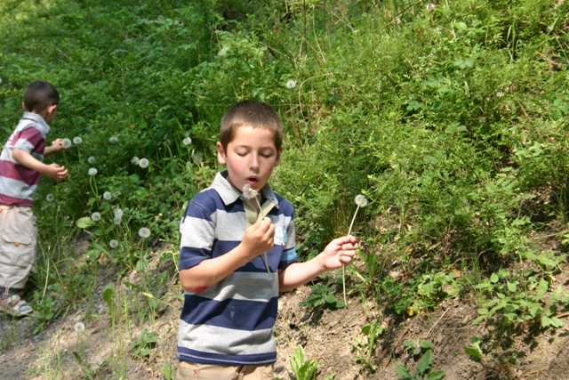 Chasse au trésor à la Citadelle de Namur - 2007