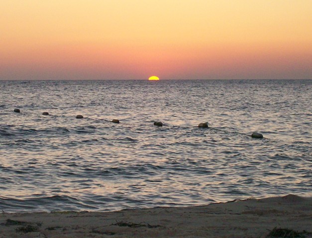 Vacances 2007 - Tunisie