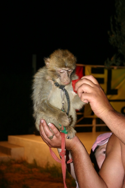 Vacances 2007 - Tunisie